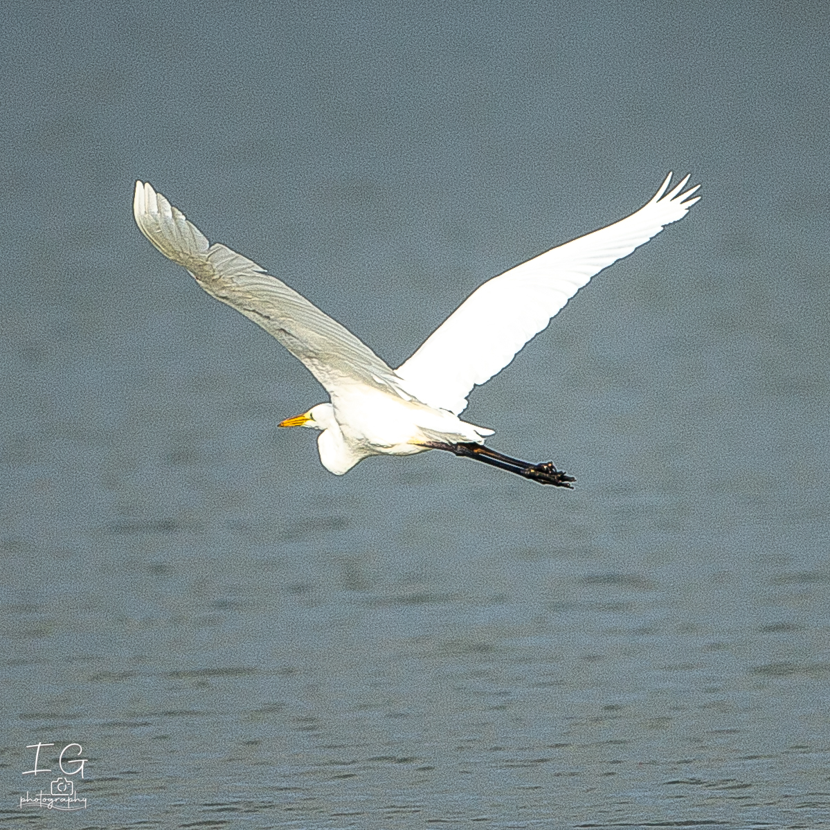 20211009  1DX1090 instagram